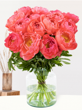 Apricot-Pinke